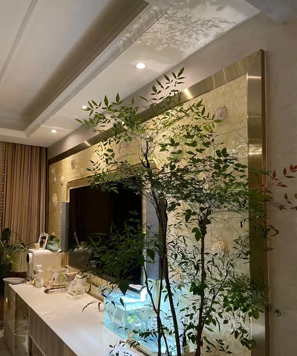 客廳光照不好反而好!養這6種「陰生花」,少曬長得旺,多曬死得快