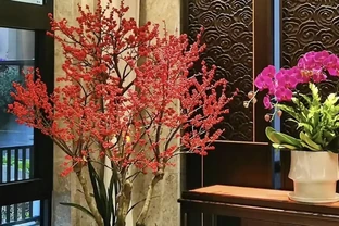 客廳別閒著！擺這 8 種 「大花美樹」，高階感瞬間拉滿