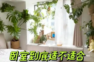 別再亂買臥室內植物了！這9種花夜間製氧，溫馨助眠，太值了
