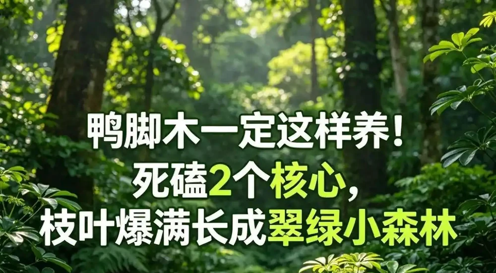 別再捨不得下剪刀了!鴨腳木「強剪」全攻略,從光桿逆襲成小森林
