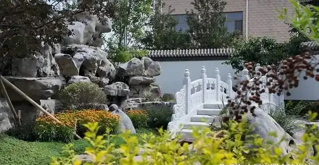 「院中有5樹,兒孫一直富」,最適合農村院子種的5種樹,你家有嗎