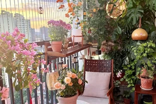 6種陽臺「小貴花」，買一次美多年，每一分錢都不白花