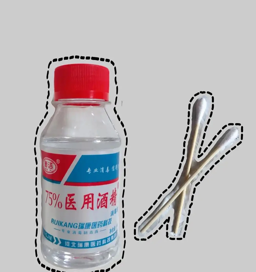 養了5年幸福樹才知道!治介殼蟲就用這4招,乾淨又徹底
