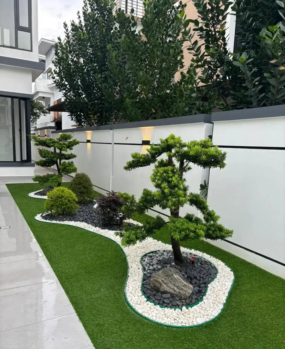 別再傻傻鋪草坪!這6種樹「錢」景好,家裡有院子的趕緊種