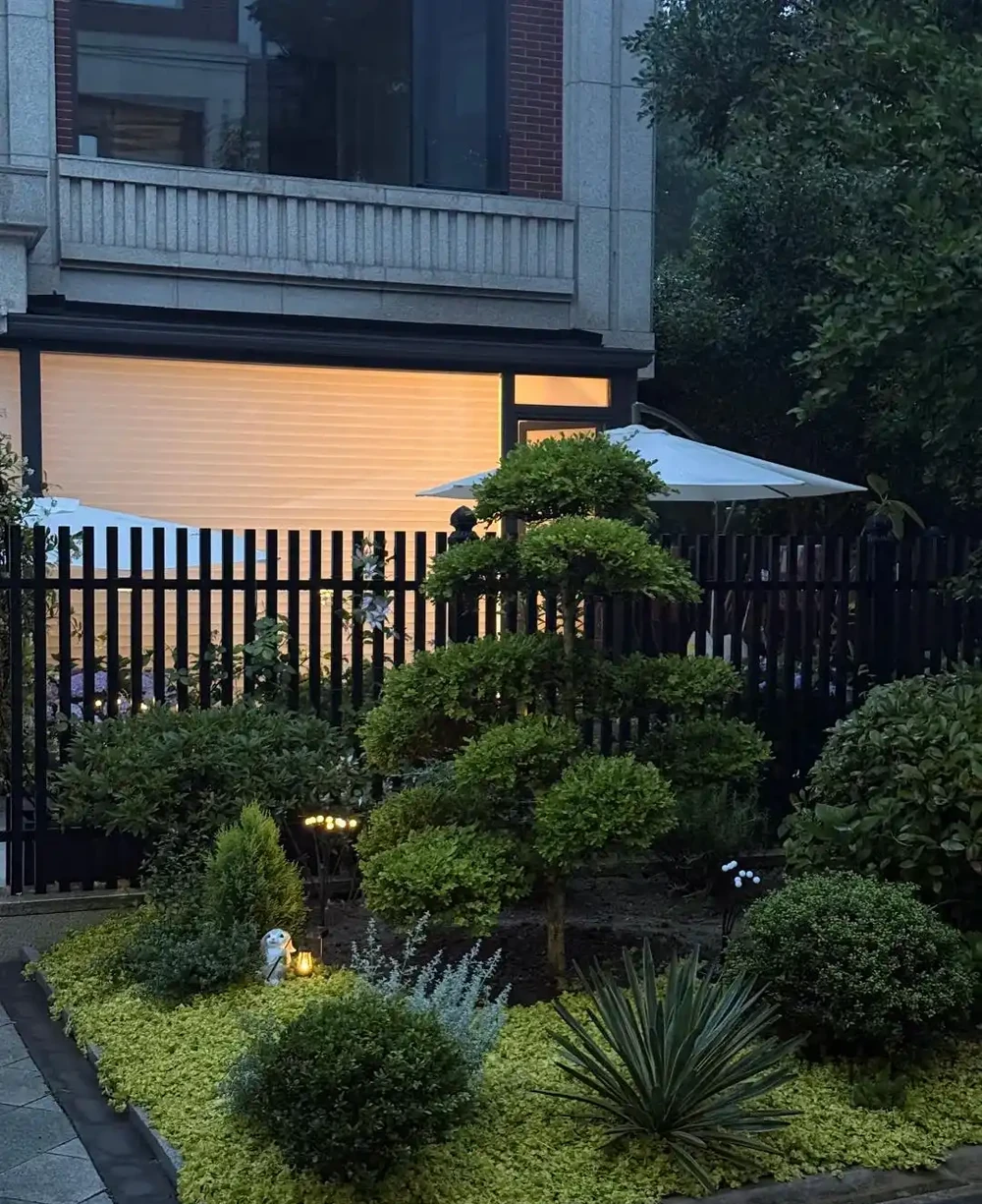 別再傻傻鋪草坪!這6種樹「錢」景好,家裡有院子的趕緊種