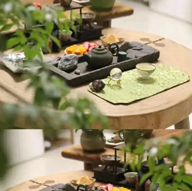 從黃葉到爆頂！幸福樹養到天花板的老手分享：避開這3個坑，你家也能出奇跡