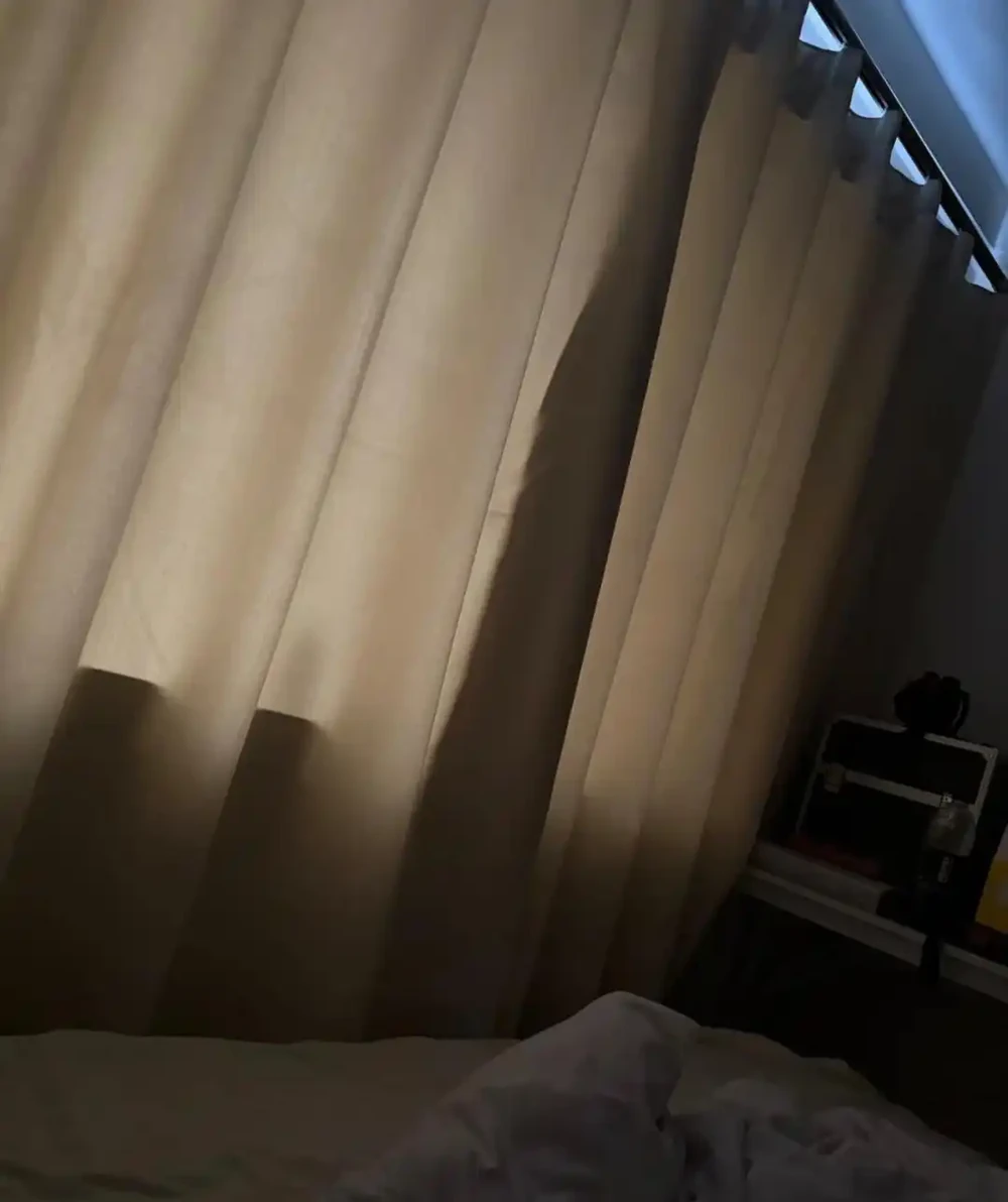 臥室植物別瞎買!認準這幾種,不僅好養還能助眠,後悔沒早看