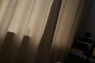 臥室植物別瞎買！認準這幾種，不僅好養還能助眠，後悔沒早看