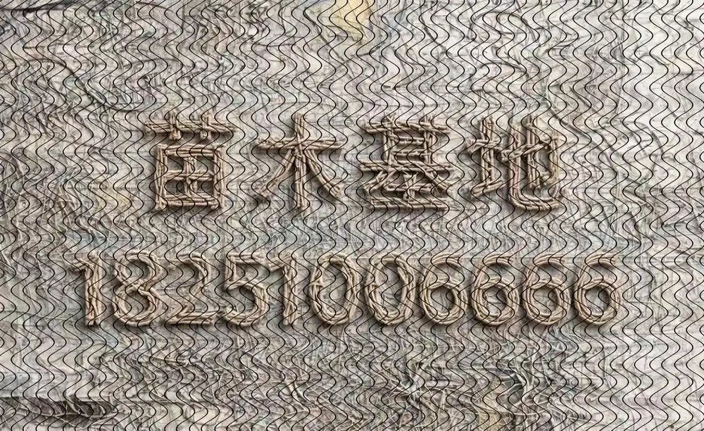 北方耐寒十大漂亮樹木，為北方庭院增添一抹亮麗風景線