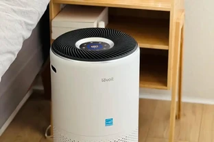 室內空氣差？趕緊養這幾盆花！不花錢就能換氣，家裡瞬間清爽了