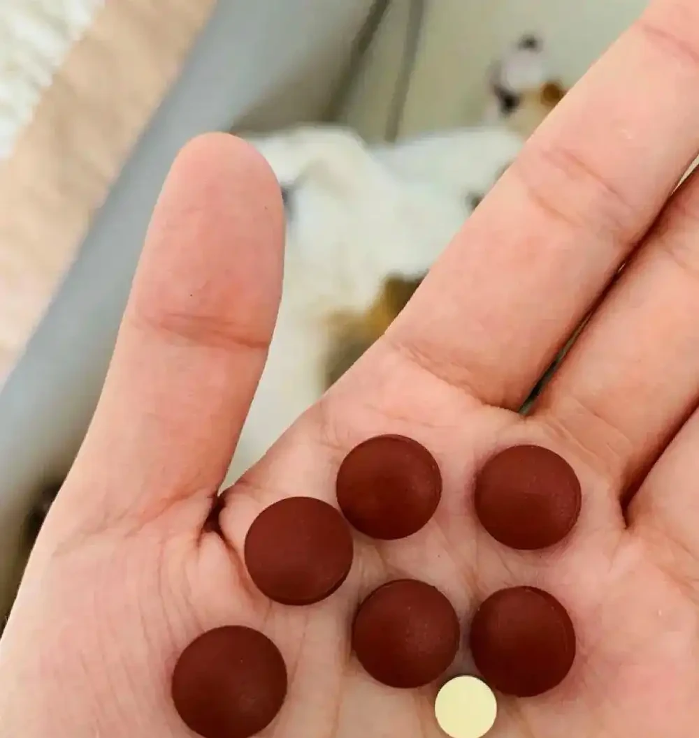 花腐根了、黃葉了！彆著急，快用點特效藥，4種小藥片專治這毛病
