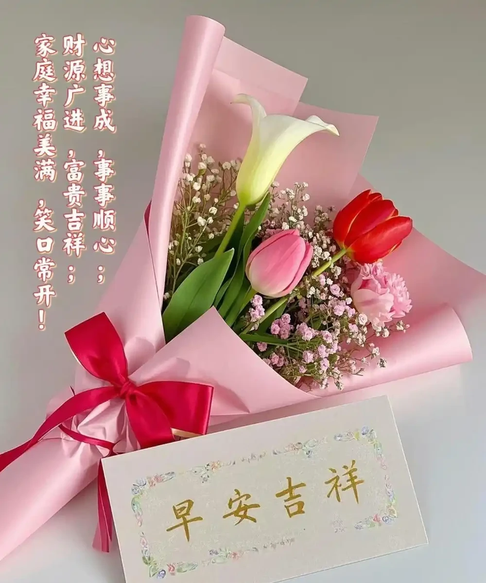 18張頂漂亮的玫瑰花早安圖帶著花香與祝福向您而來，請開心收下吧
