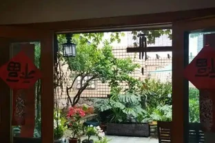 從巴掌大到一米寬，這棵龜背芋的「開背秘訣」，今天全部公開