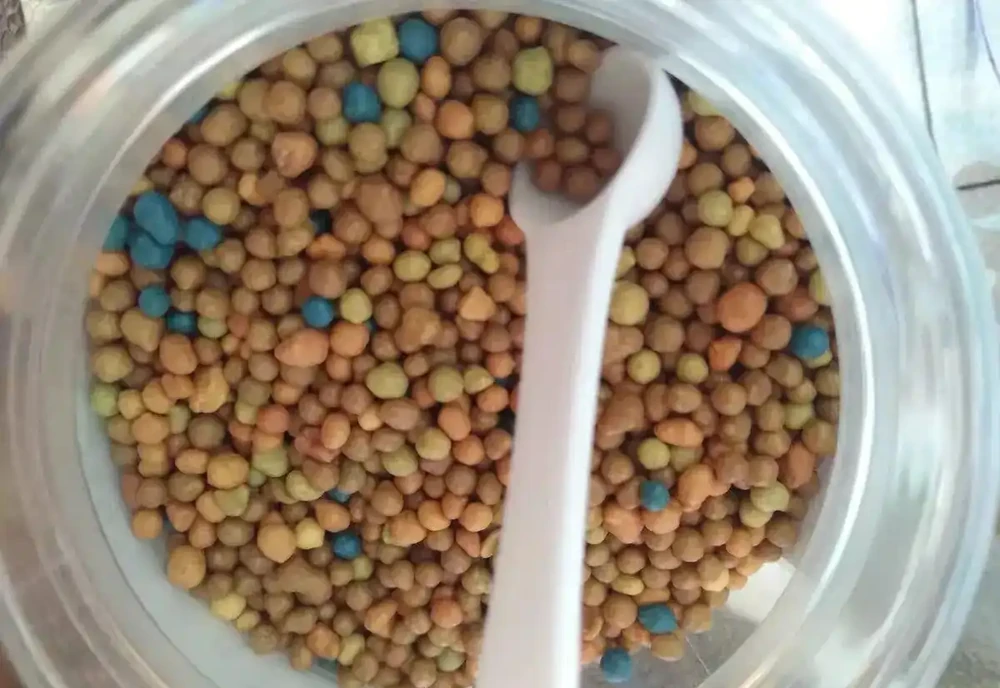 多肉要施肥嗎?純顆粒栽種,加點複合肥料,增強多肉抵抗力!
