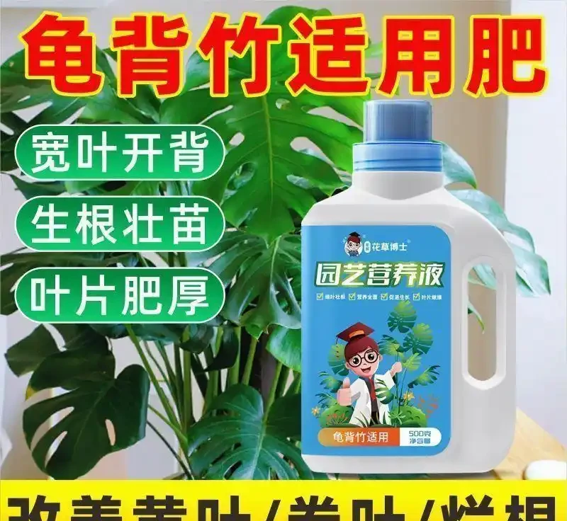 龜背芋專用營養液｜專治黃葉薄葉！長根壯苗、葉片增厚油亮、通用綠植養護神器