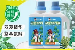 龜背芋專用營養液｜專治黃葉薄葉！長根壯苗、葉片增厚油亮、通用綠植養護神器