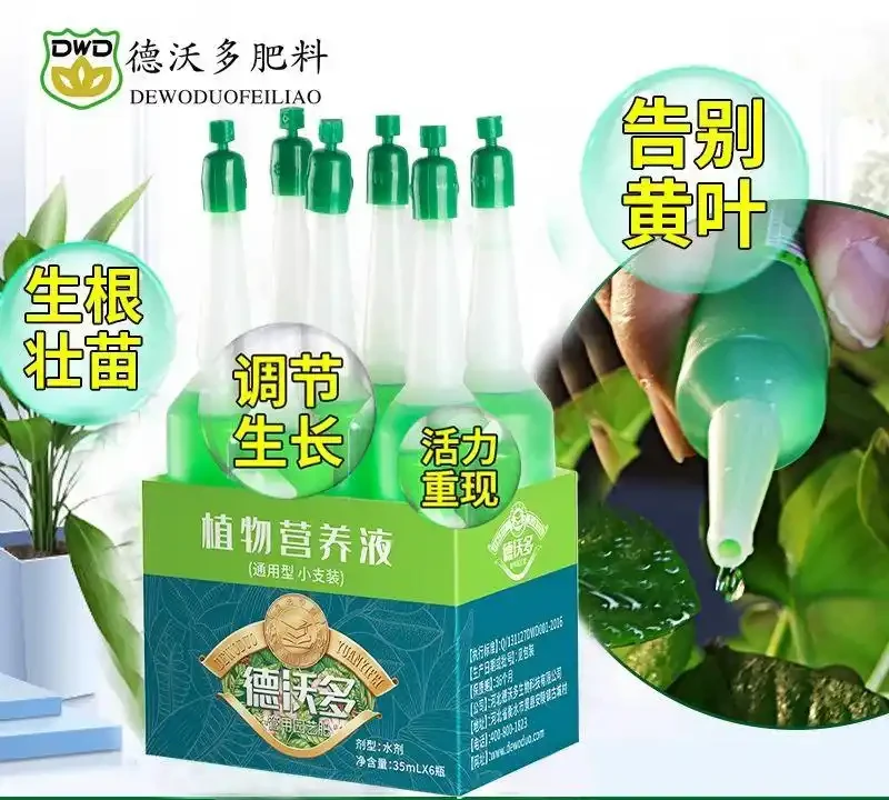 十大公認最好花肥排行榜:品牌口碑與肥效實測盤點