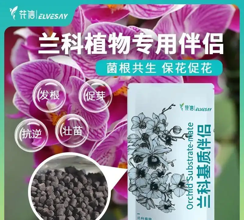十大公認最好花肥排行榜:品牌口碑與肥效實測盤點
