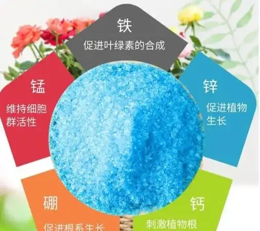 十大公認最好花肥排行榜:品牌口碑與肥效實測盤點