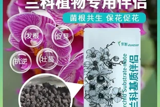 十大公認最好花肥排行榜：品牌口碑與肥效實測盤點
