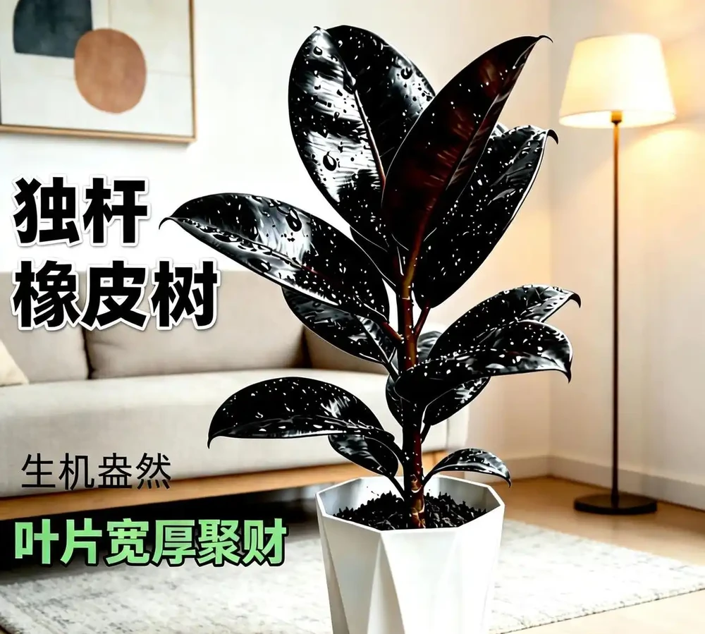 十大寓意升職加薪的辦公室綠植,旺事業旺財運首選