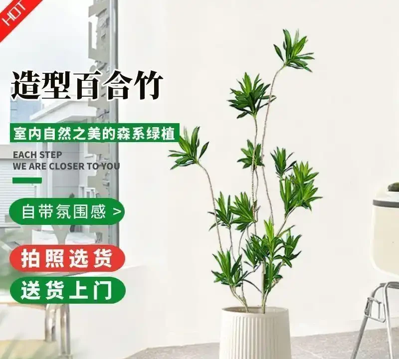 十大寓意升職加薪的辦公室綠植,旺事業旺財運首選