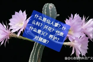 什麼是仙人掌？什麼科？開花？代表什麼意義？養護？對健康？