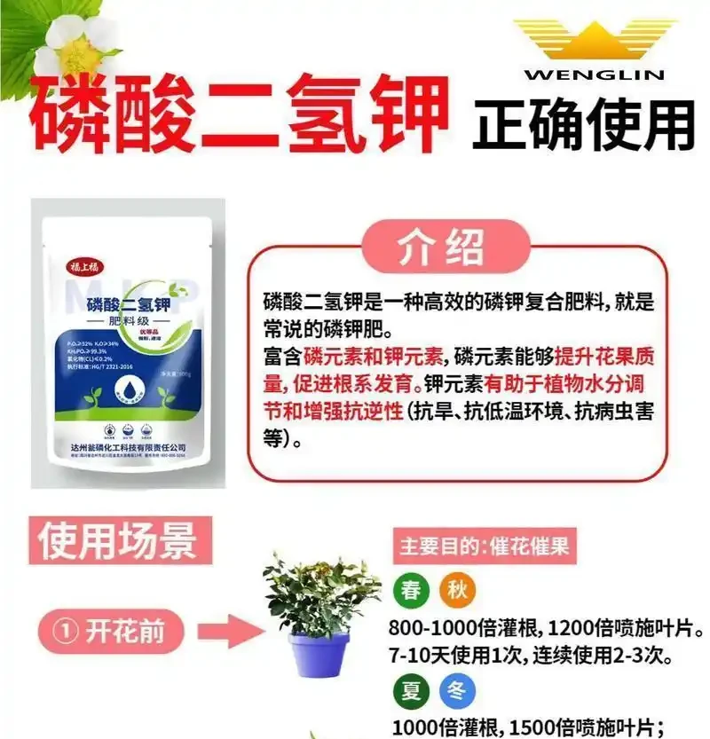 金彈子磷酸二氫鉀什麼階段用？怎麼使用？一次性講明白