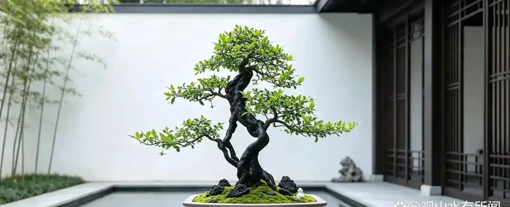 金彈子磷酸二氫鉀什麼階段用？怎麼使用？一次性講明白