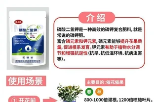 金彈子磷酸二氫鉀什麼階段用？怎麼使用？一次性講明白
