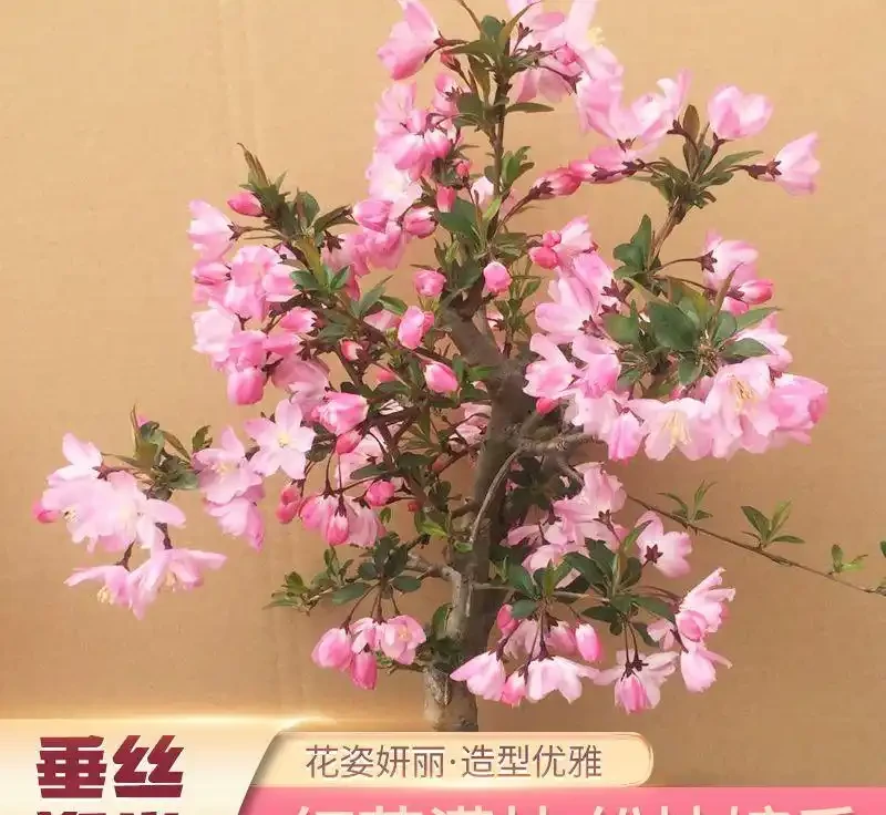 2026盤點:十大最震撼庭院花樹,一棵就能撐起整個花園的顏值