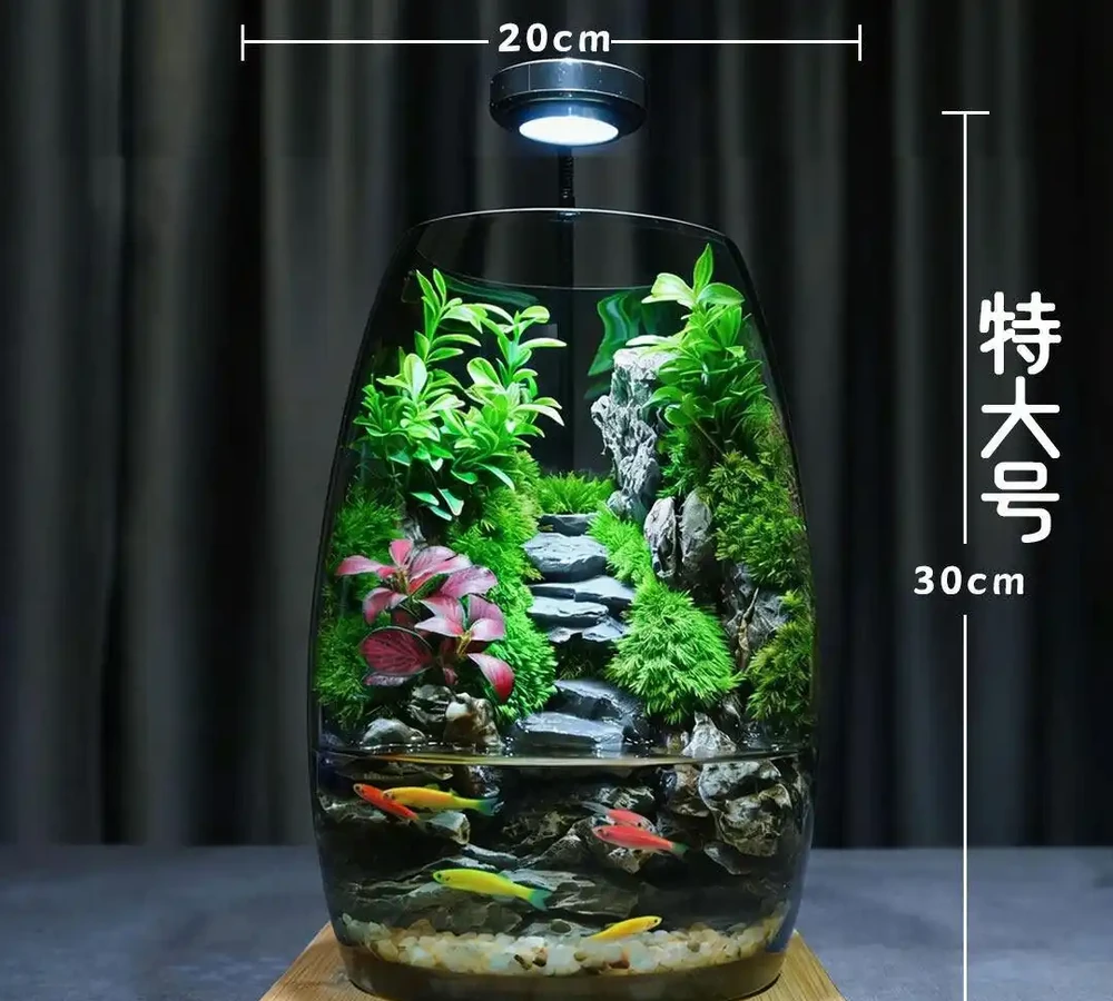 治癒系！十大「最治癒」小型盆栽，書桌上的迷你森林