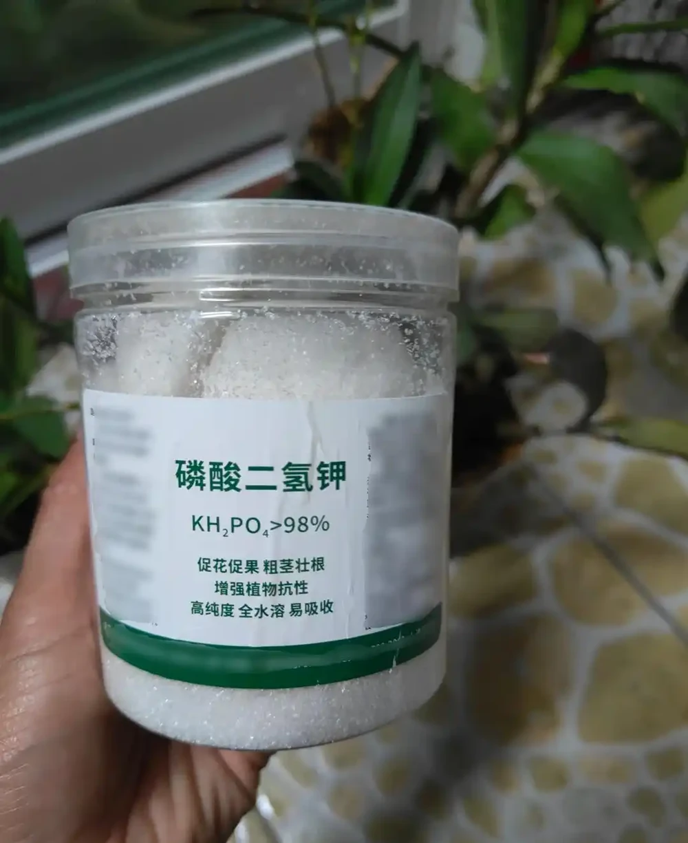 養蘭十年才懂:一年能開幾次花?抓住這個關鍵點,想不開花都難