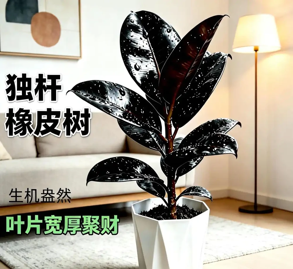 新手必看!客廳十大「養不死」大型綠植實測:耐陰耐寒耐旱,附選購技巧