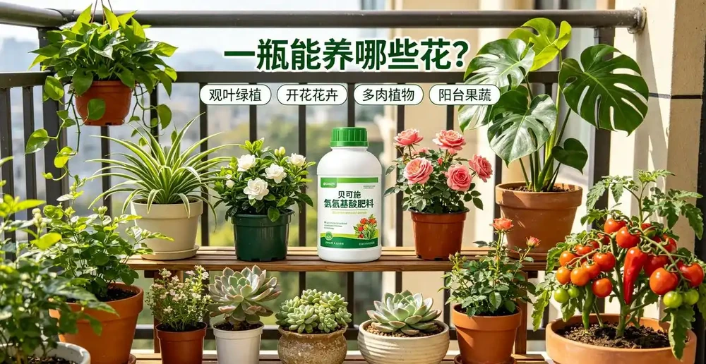 養花總黃葉不開花?幾塊錢的「植物營養餐」輕鬆搞定