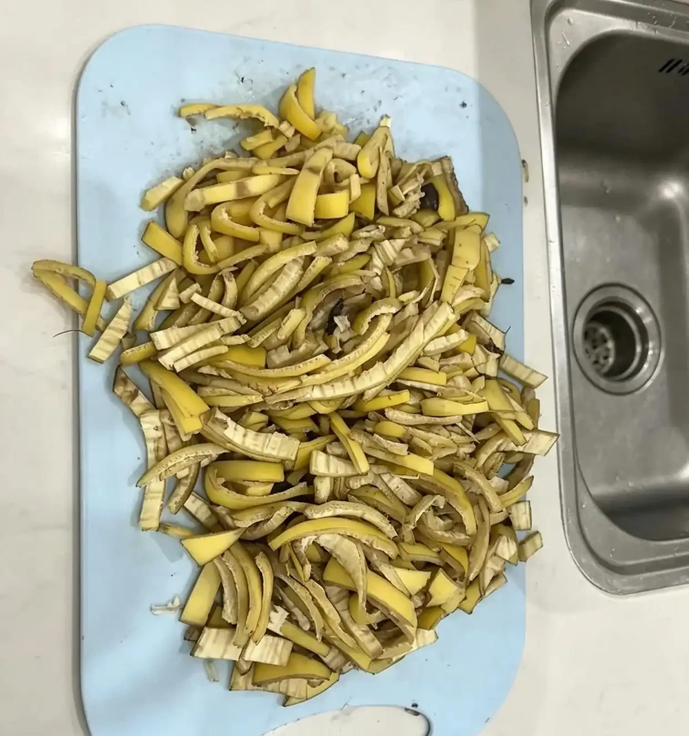 廚房廢料別扔,全是養花免費好肥!養啥旺啥,新手零成本實操