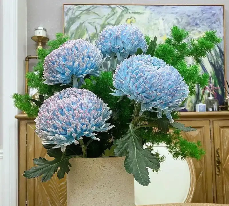 十大淨化空氣最強的室內綠植:NASA科學家親測推薦,養一盆頂十盆