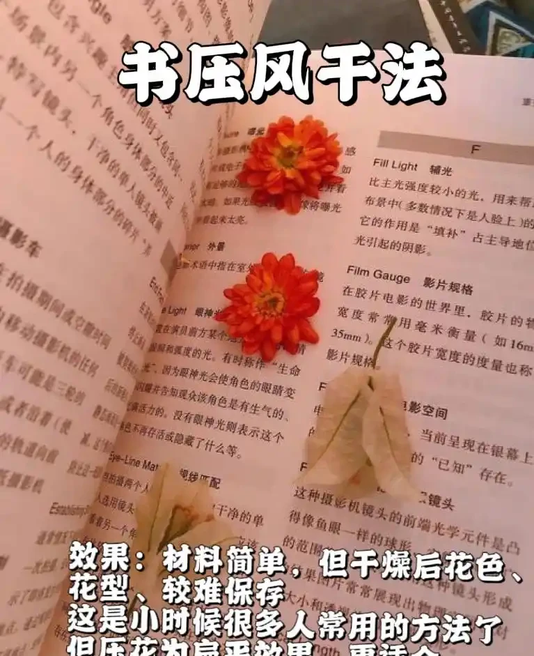 捨不得扔的「鮮花」怎麼處理?換個思路,真是又美又實用