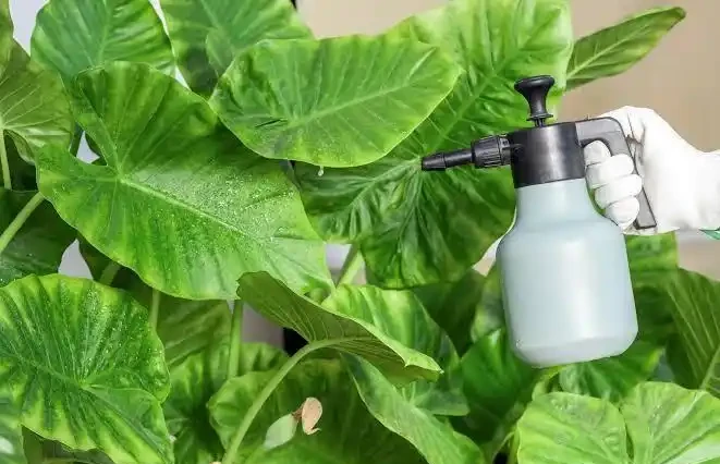 正確噴水霧
