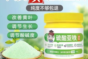 花草博士硫酸亞鐵：黃葉救星，3天轉綠，喜酸花卉的專用補鐵神器