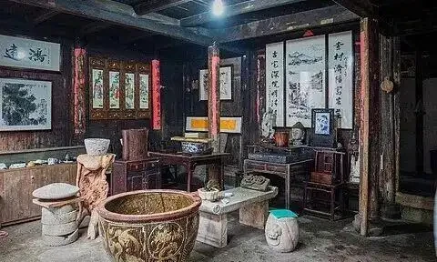 「客廳見花,十有九發」,家養5種花,好看又吉利,旺財又旺家!
