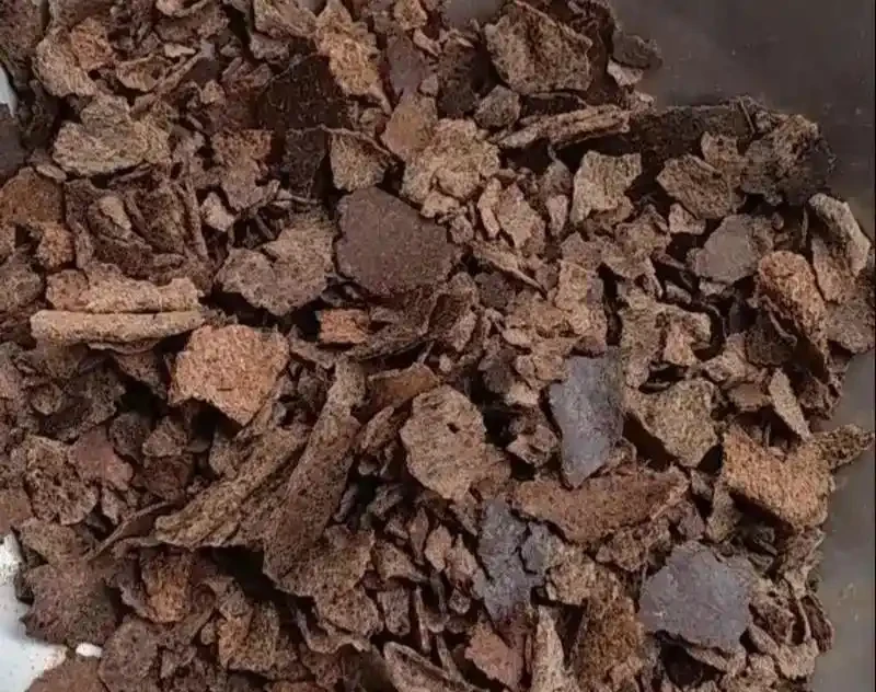 不用化肥也能種好菜!只需用好用對這5種有機肥,新手一看就會
