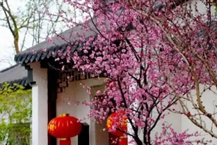 小院種這5種樹，賞花還能摘果，日子越過越紅火興旺