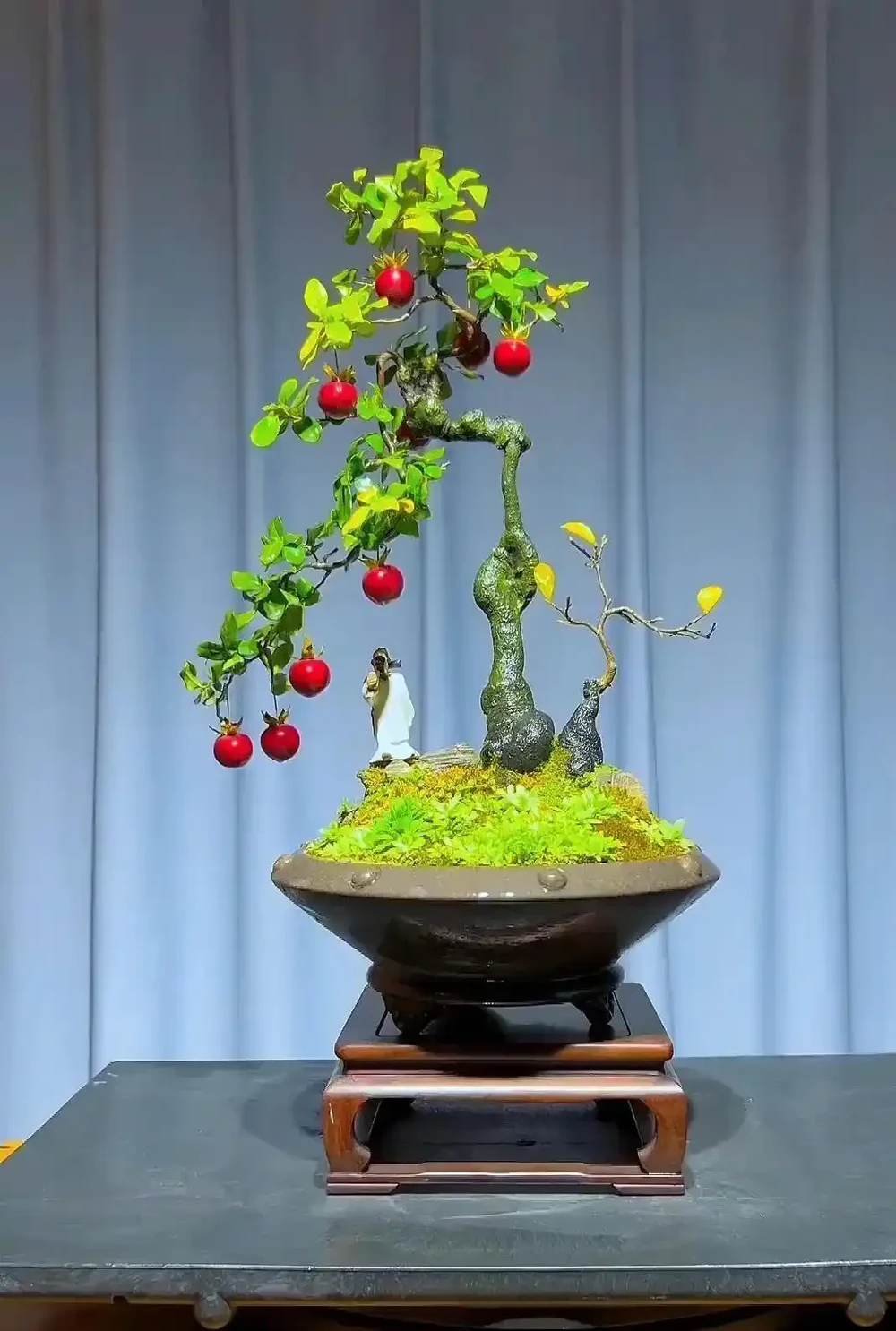 秋季金彈子手把手教學養護攻略,新手也能養出滿樹紅果