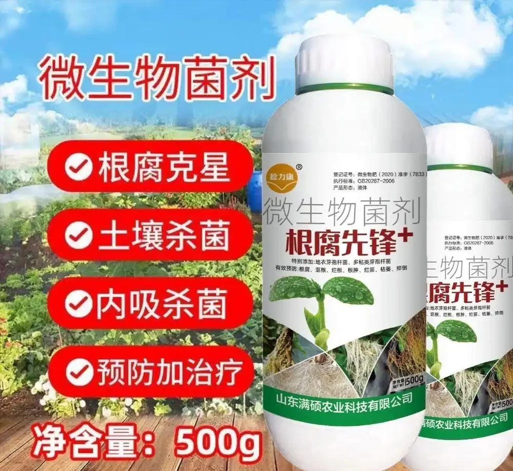 根腐剋星枯草芽孢哈茨木黴,以菌治菌救腐根,死苗弱根一用活