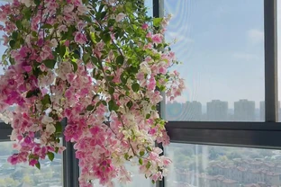 6種能養幾十年的「長壽皮實花」，不用定時澆水施肥，越養開越瘋