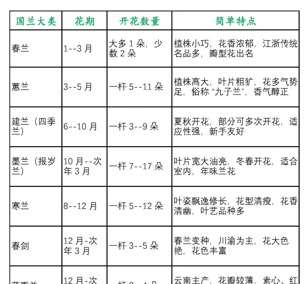 中國七大傳統國蘭,蘭韻各不同,養蘭認蘭一本通,一文讀懂七大傳統國蘭