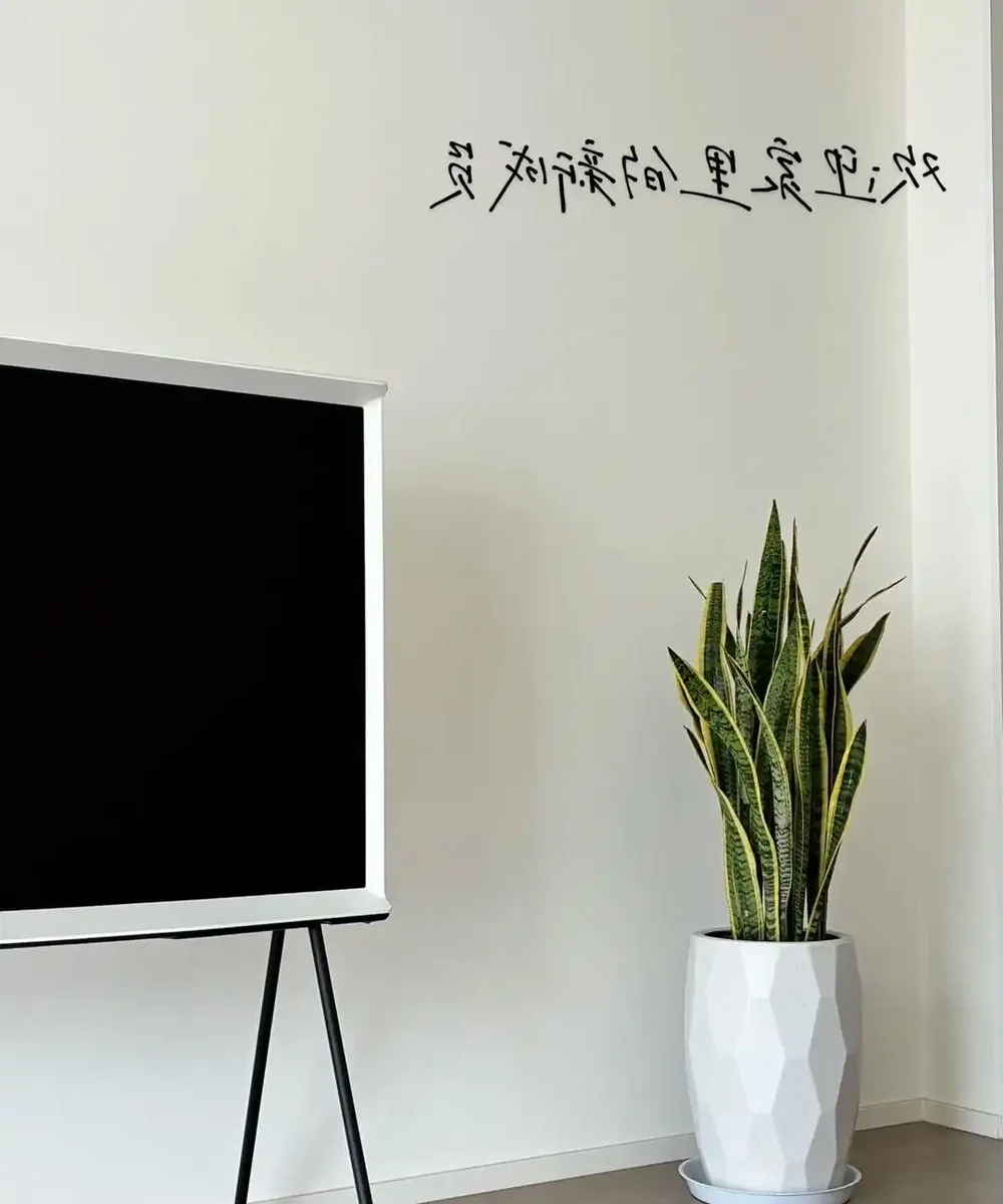 家裡見葉,十有九富!這7種九重葛,高階好養,養了都說值