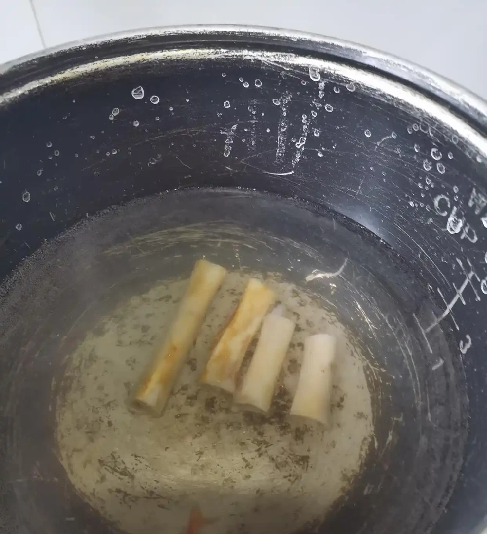 9月往君子蘭盆裡撒1勺它,葉片硬如鐵,根粗像蘿蔔,開花50朵