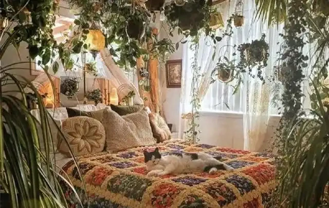 臥室千萬別亂放花!內行人揭秘綠植擺放潛規則,堅持「4養4不養」能旺家,可惜大多數人都做錯了!
